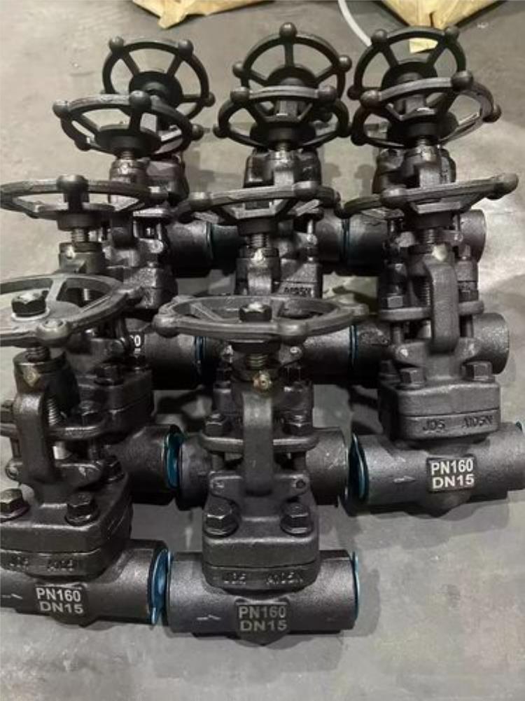 Z61H/Y�в庸�l�y