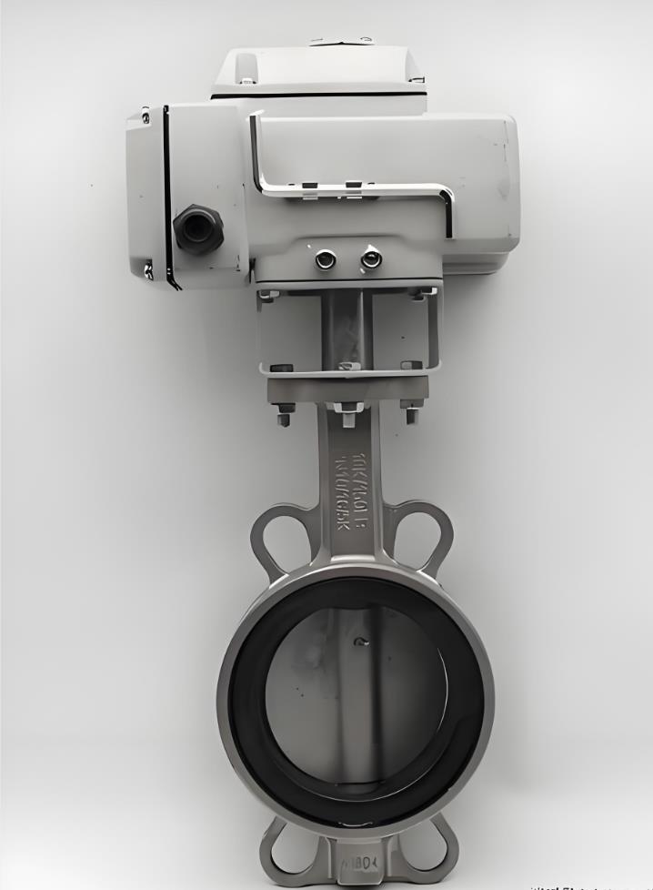 D971X/F不銹鋼電動(dòng)蝶閥