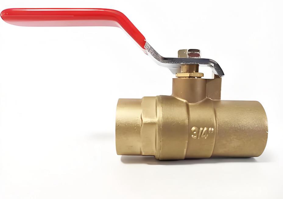 �S�~�������yQ61F